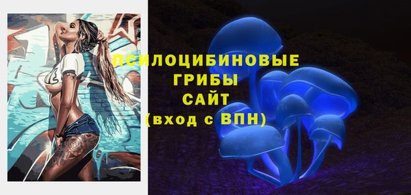 круглые Аркадак