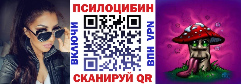 Псилоцибиновые грибы Psilocybe  кракен маркетплейс  Сердобск 